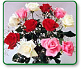 Roses