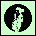Virgo